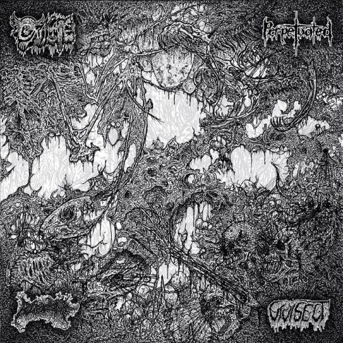 Blood Spore : Oxalate - Perpetuated - Blood Spore - Vivisect